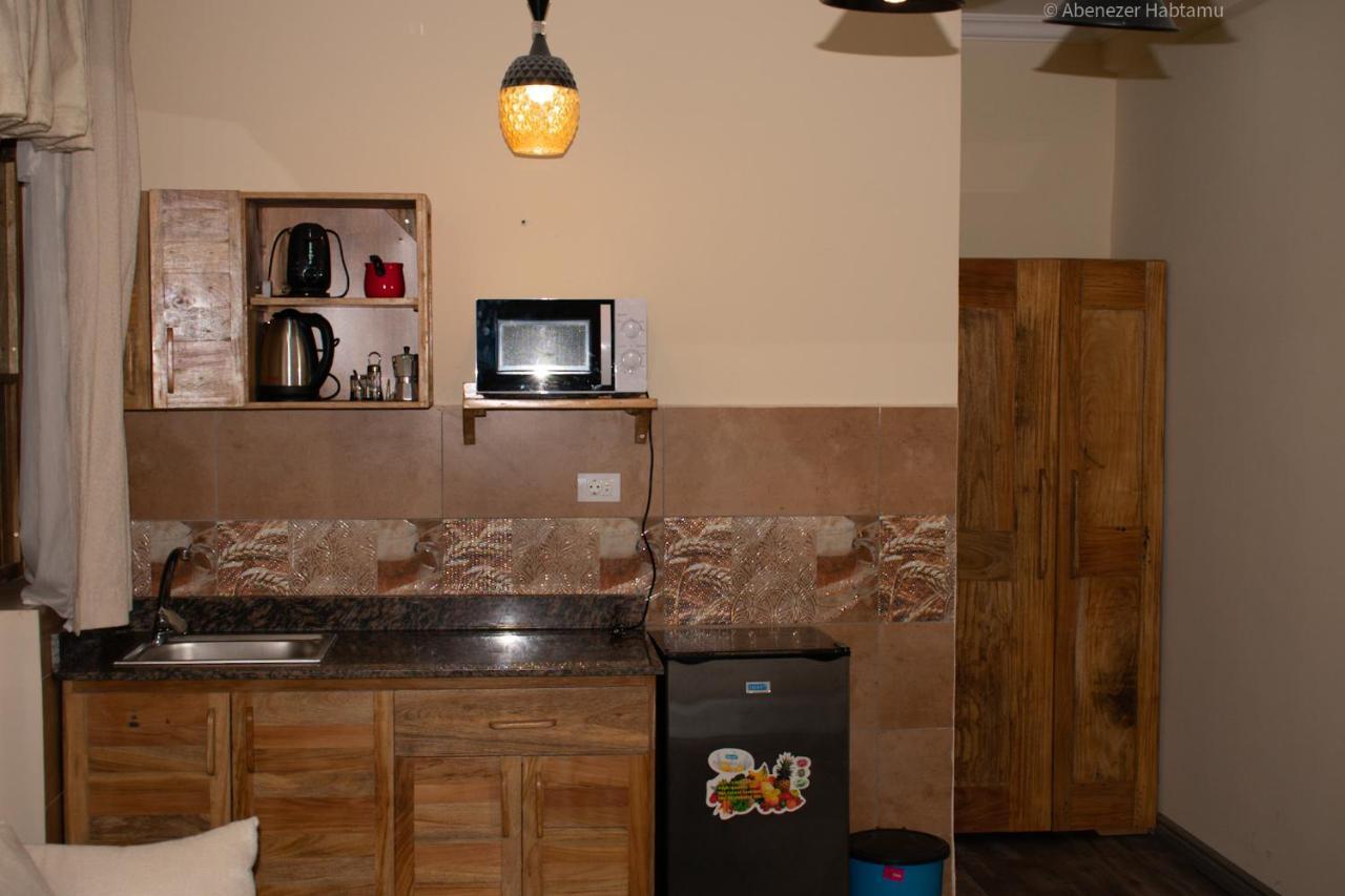 Choice Guest House 2 Адис Абеба Екстериор снимка