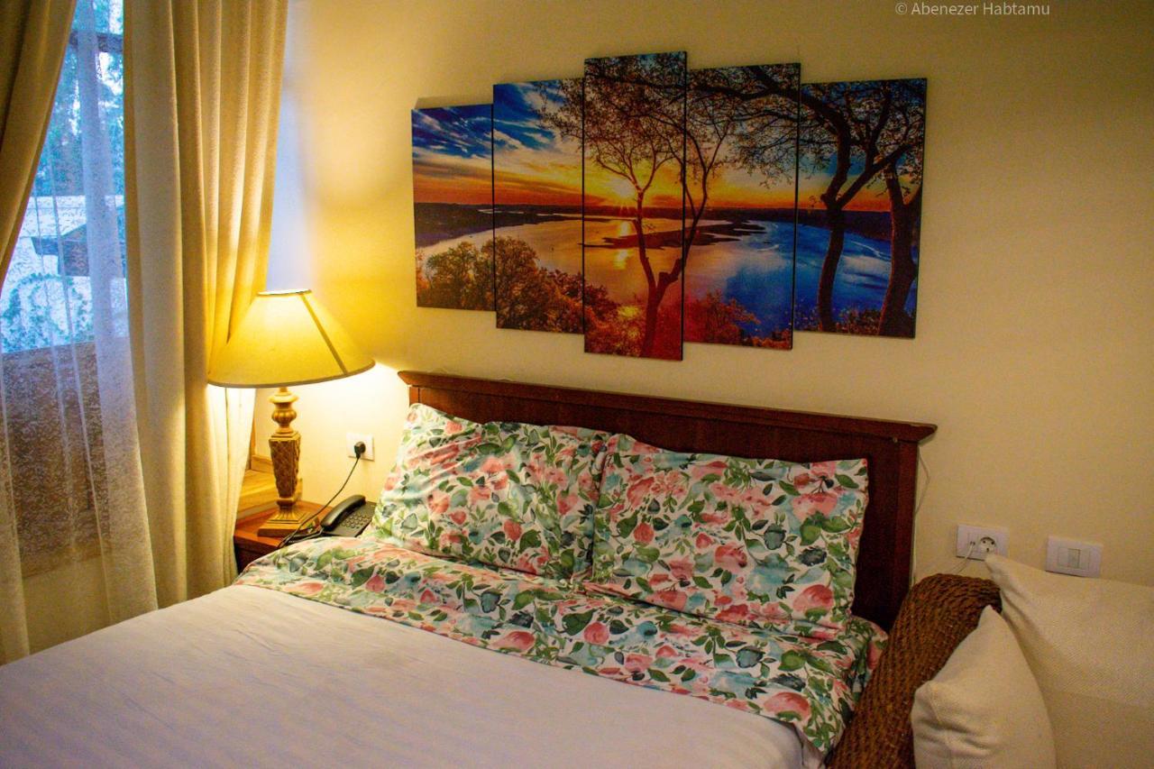Choice Guest House 2 Адис Абеба Екстериор снимка
