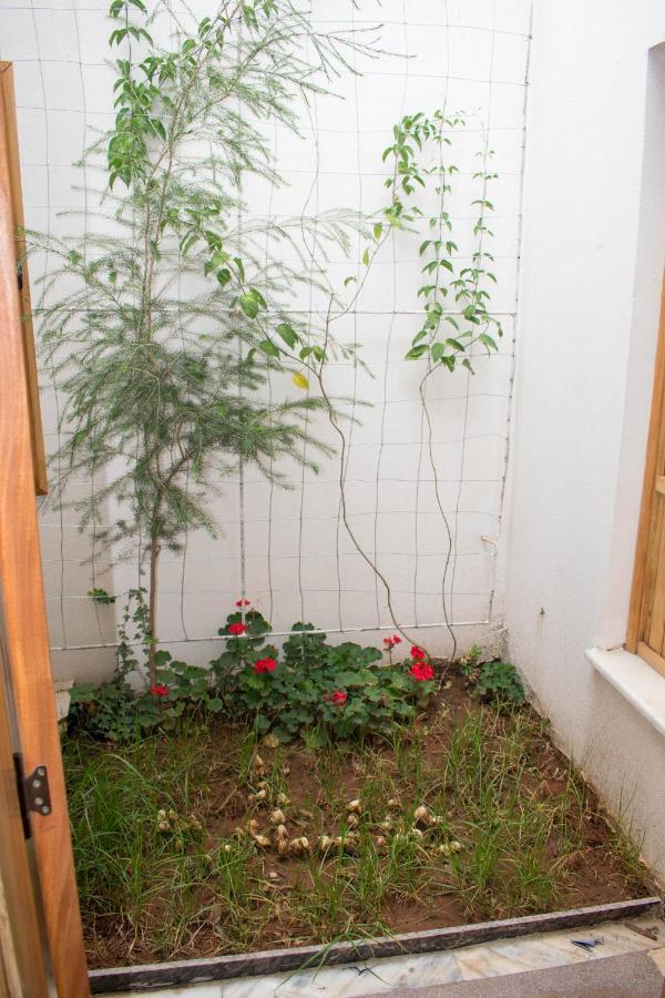 Choice Guest House 2 Адис Абеба Екстериор снимка